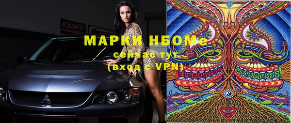 шишки Каменногорск