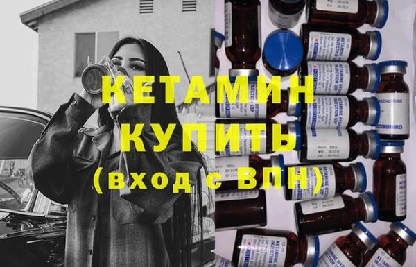 шишки Каменногорск
