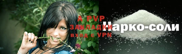шишки Каменногорск