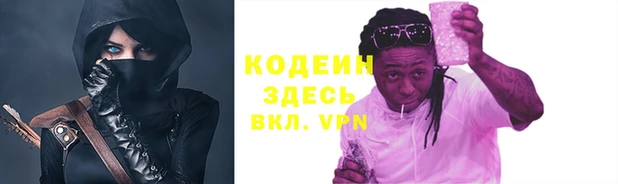 шишки Каменногорск