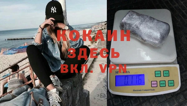 шишки Каменногорск
