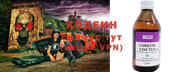 шишки Каменногорск