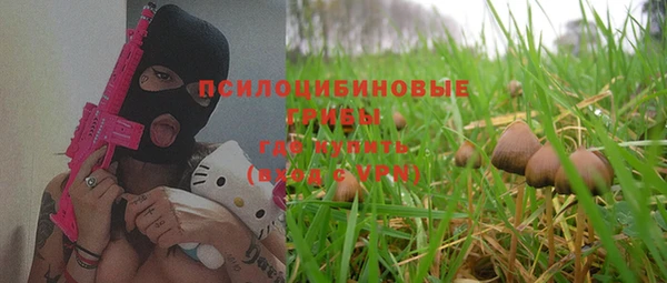 шишки Каменногорск