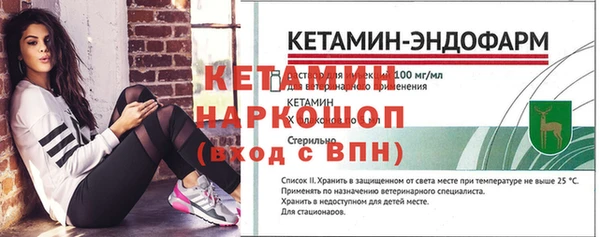 шишки Каменногорск