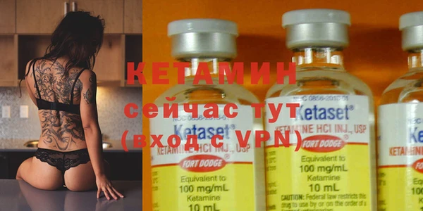 шишки Каменногорск