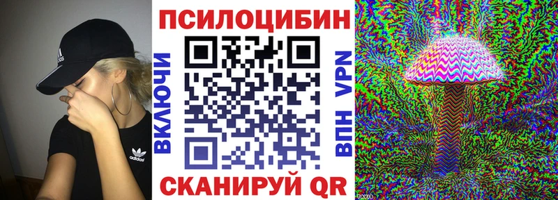 купить   Серафимович  Псилоцибиновые грибы GOLDEN TEACHER 